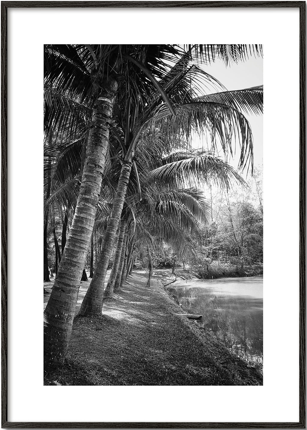 Vertikalt palmlandskap fotografi