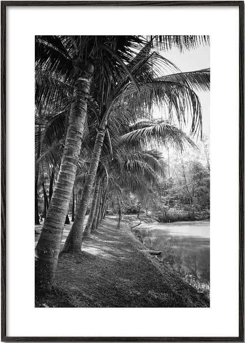 Vertikalt palmlandskap fotografi