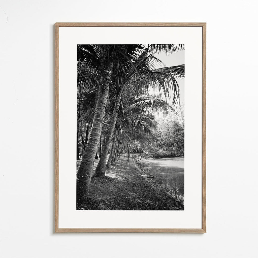 Vertikalt palmlandskap fotografi