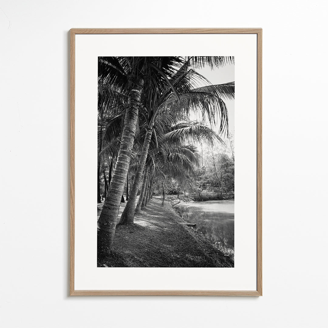 Vertikalt palmlandskap fotografi
