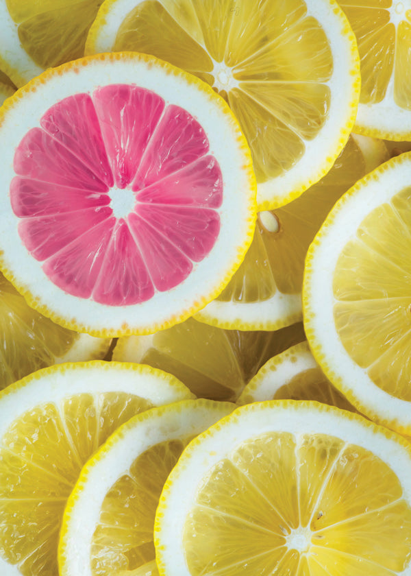 Kökskonst rosa citronskivor