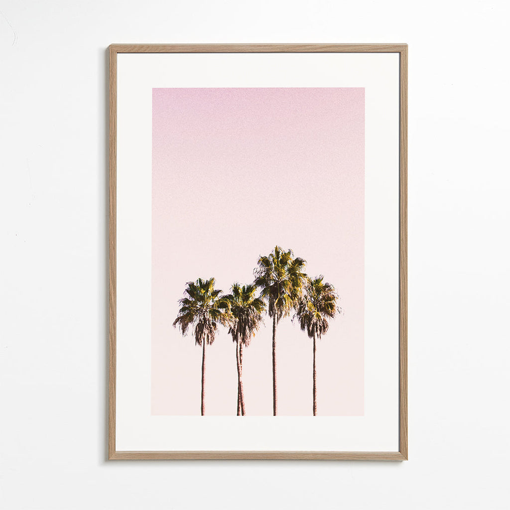 Botanisk poster: palmer mot rosa himmel
