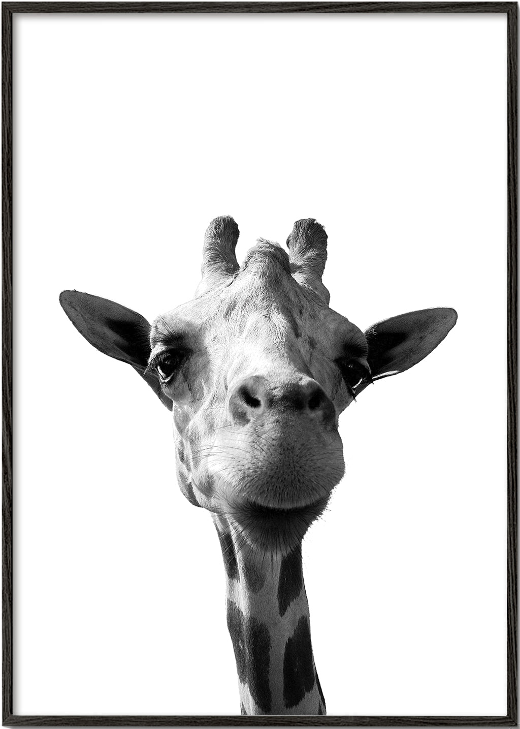 Konstverk giraff närbild