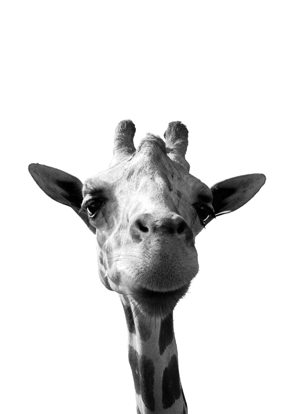 Konstverk giraff närbild