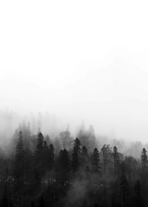 Landskapskonst dimmig skog