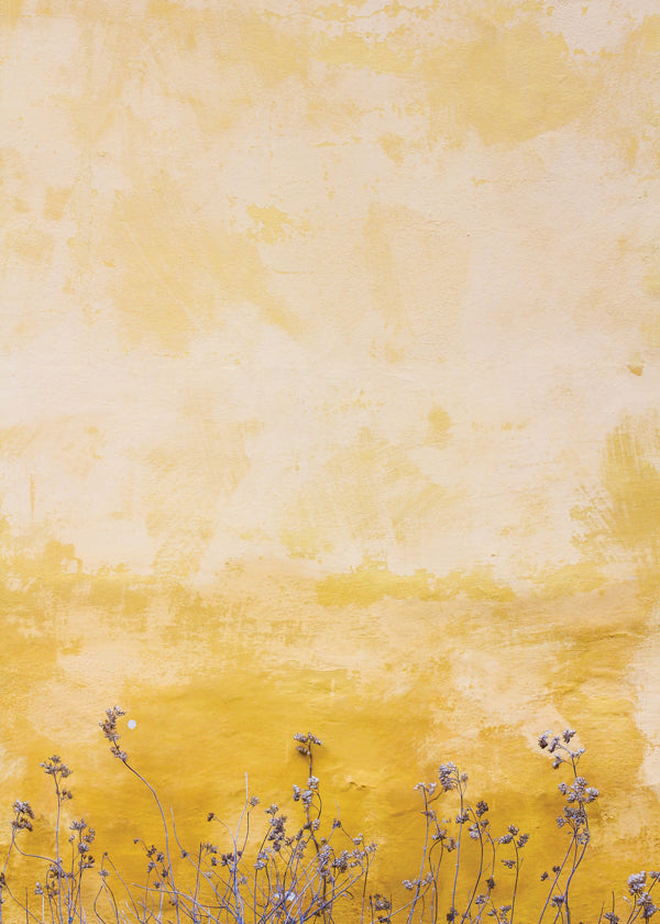 Botanisk poster: texturerad vägg med torkade blommor