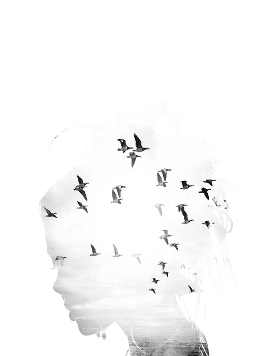 Dreamer - Unframed art print