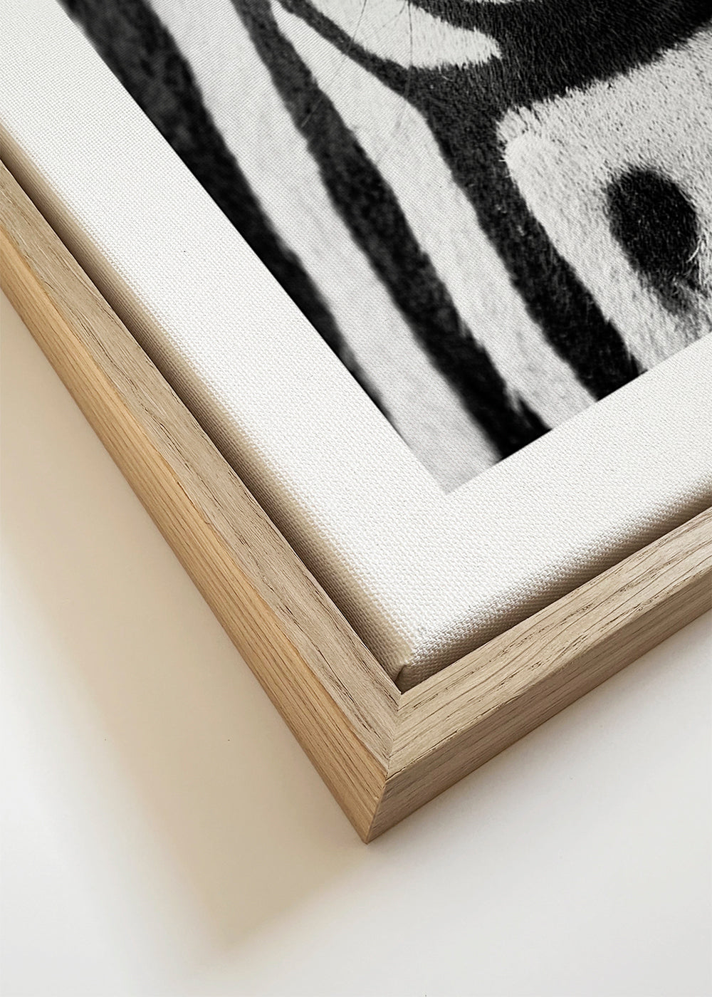 Affisch zebra närbild