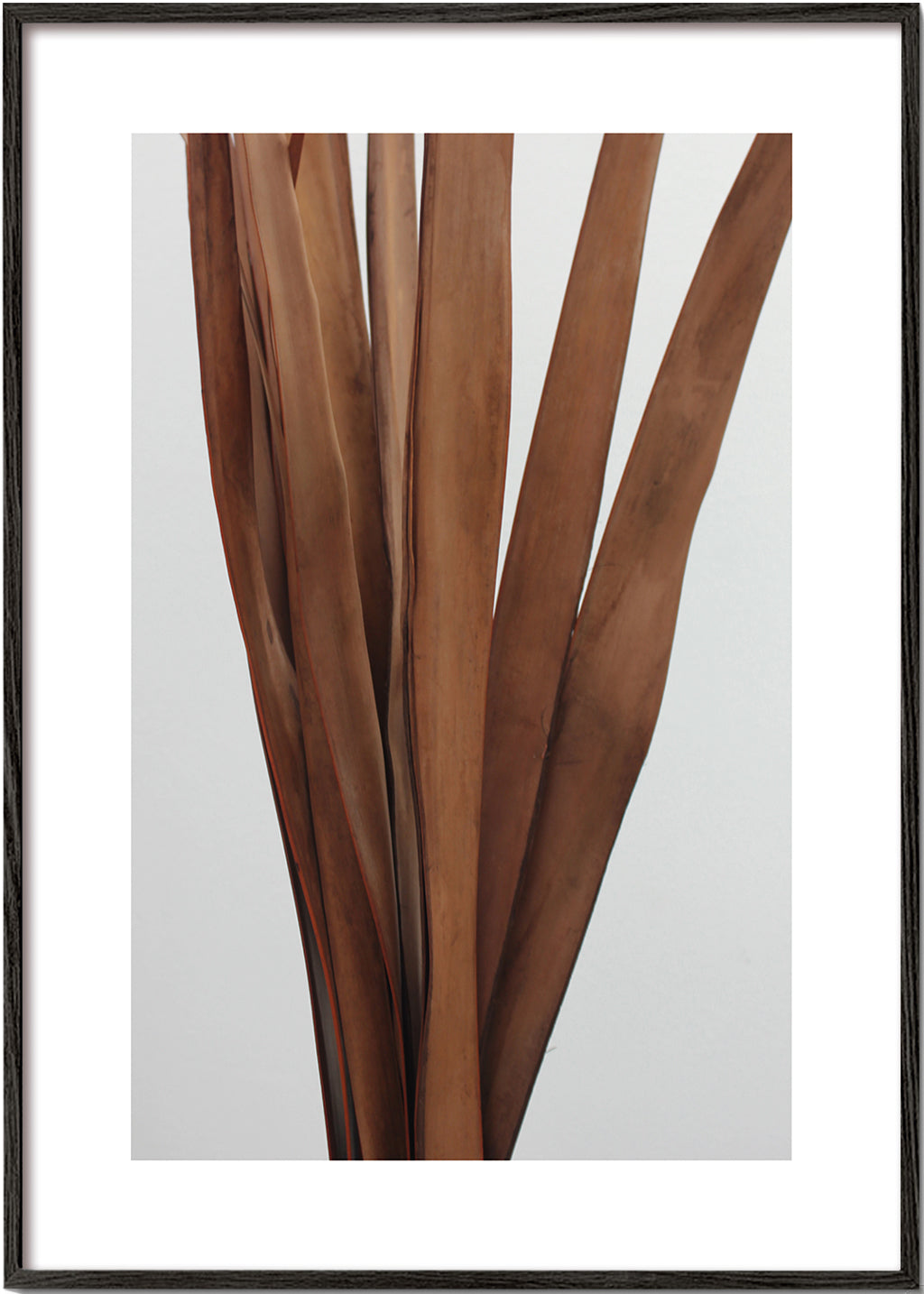 Botanisk poster torkade blad