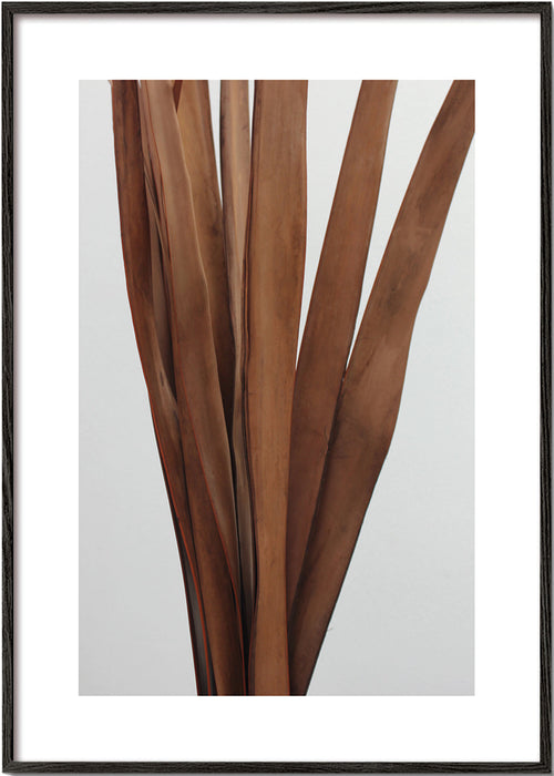 Botanisk poster torkade blad