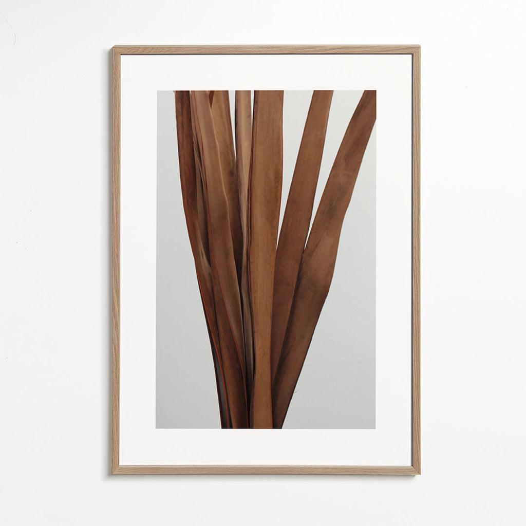 Botanisk poster torkade blad