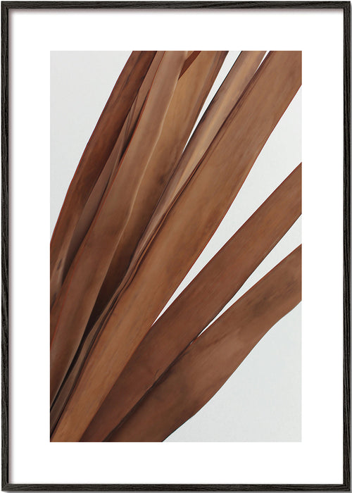 Botanisk poster torkade blad vertikal