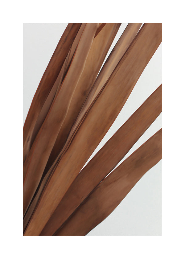 Botanisk poster torkade blad vertikal