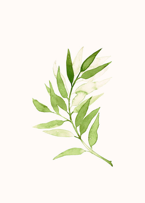 Botanisk poster: minimalistisk grön kvist