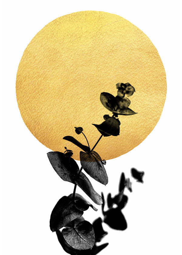 Botanisk poster: blad-siluett och guldsol