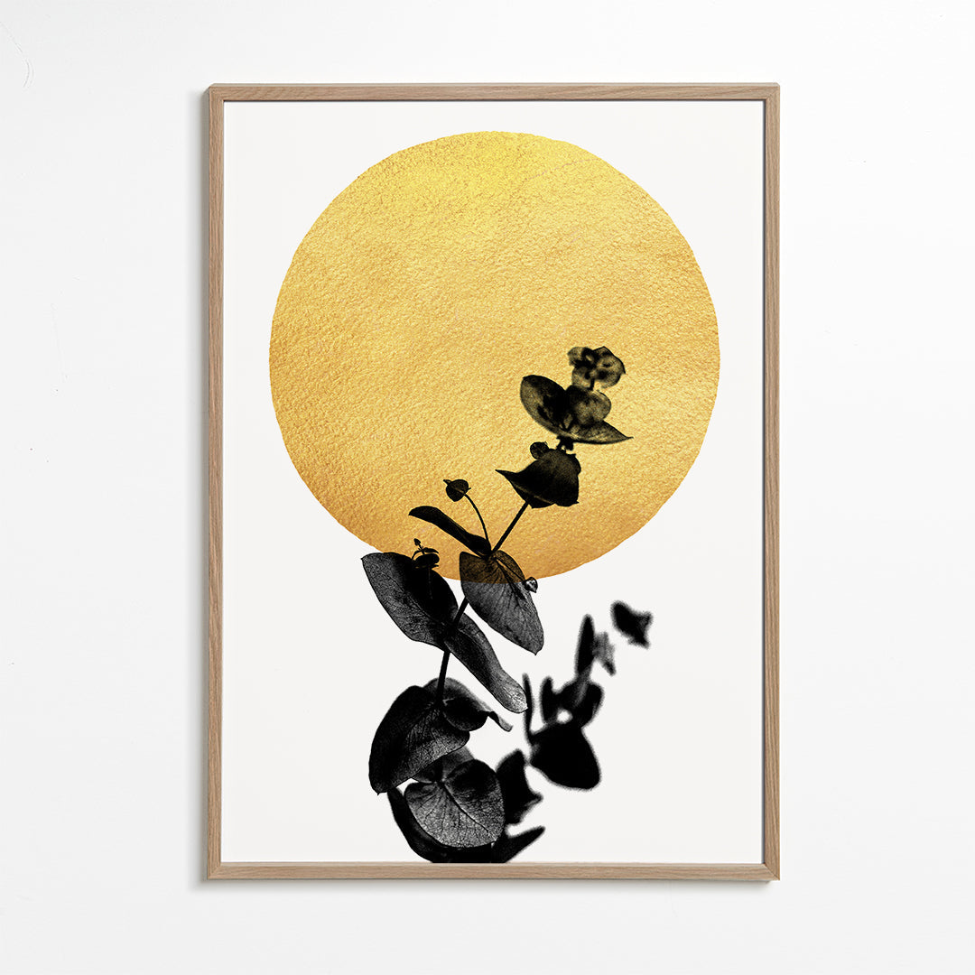 Botanisk poster: blad-siluett och guldsol