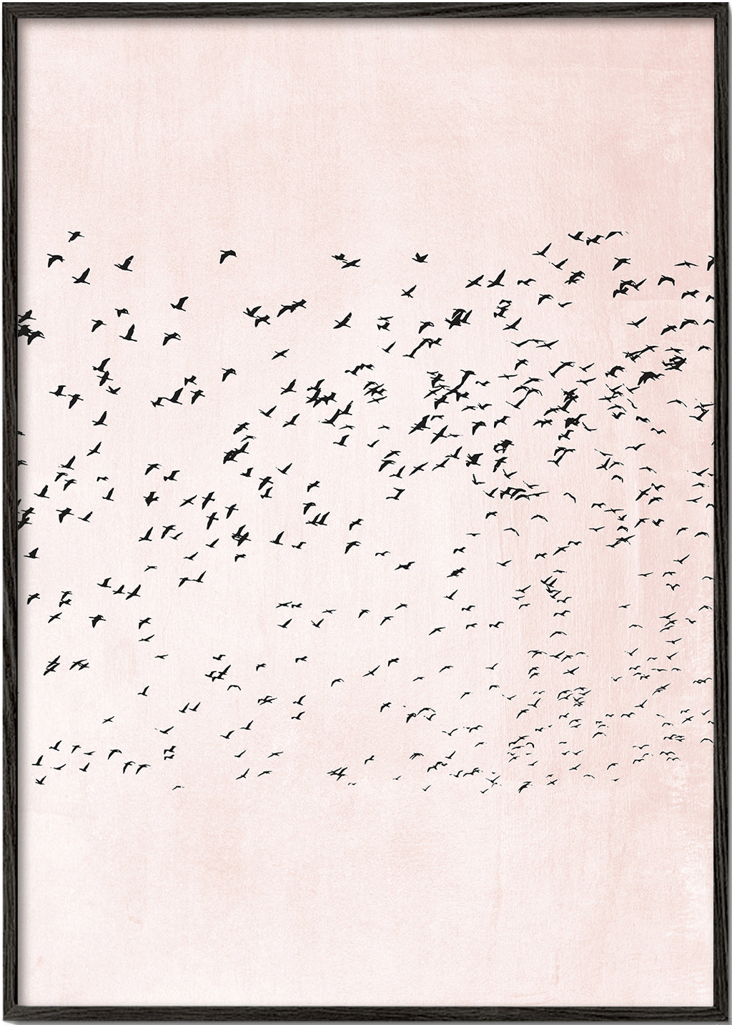 Minimalistisk konst med flock på rosa bakgrund