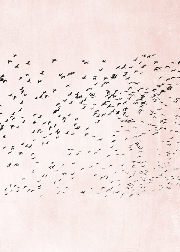 Minimalistisk konst med flock på rosa bakgrund