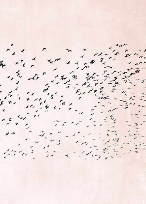 Minimalistisk konst med flock på rosa bakgrund