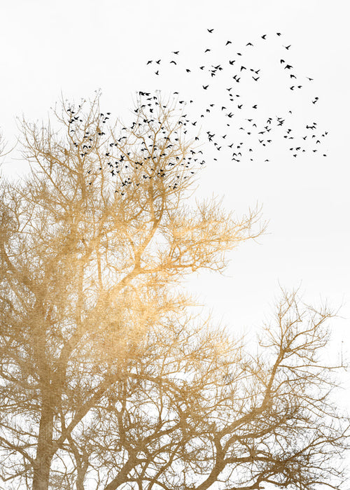 Landskapstavla med gyllene träd och flygande flock