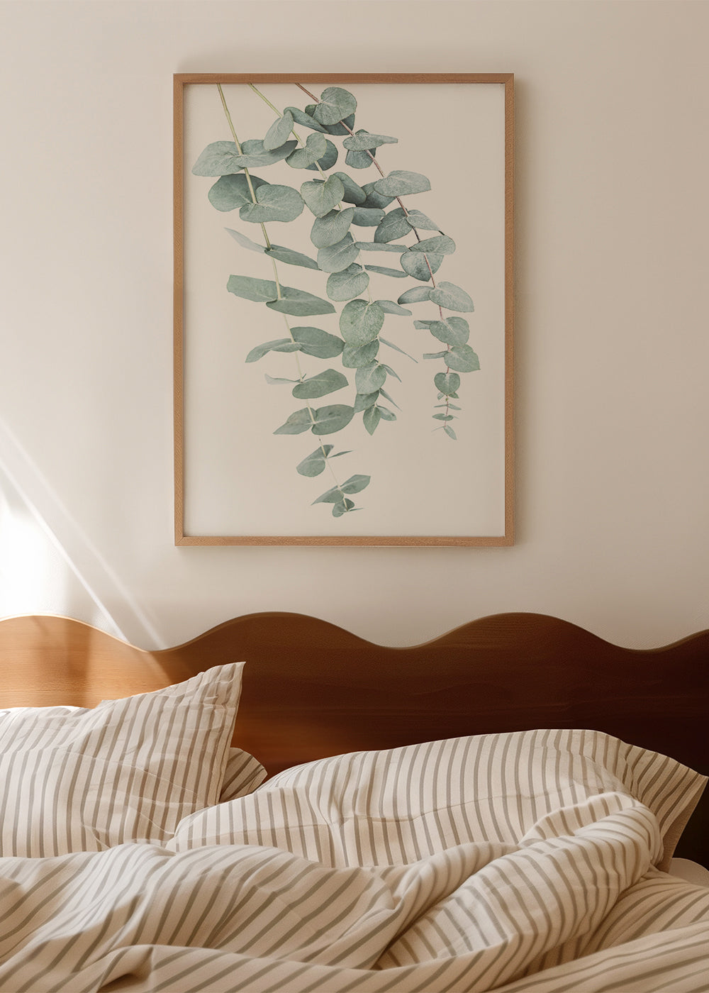 Botanisk affisch med hängande eukalyptus
