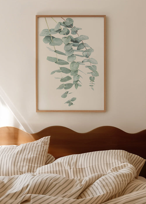 Botanisk affisch med hängande eukalyptus