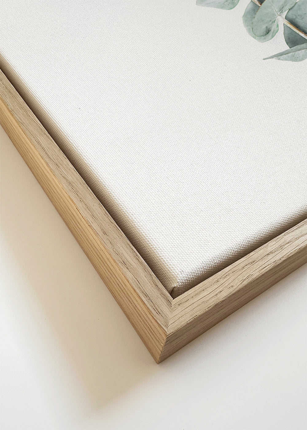 Botanisk poster: eukalyptusgren i minimalistisk stil