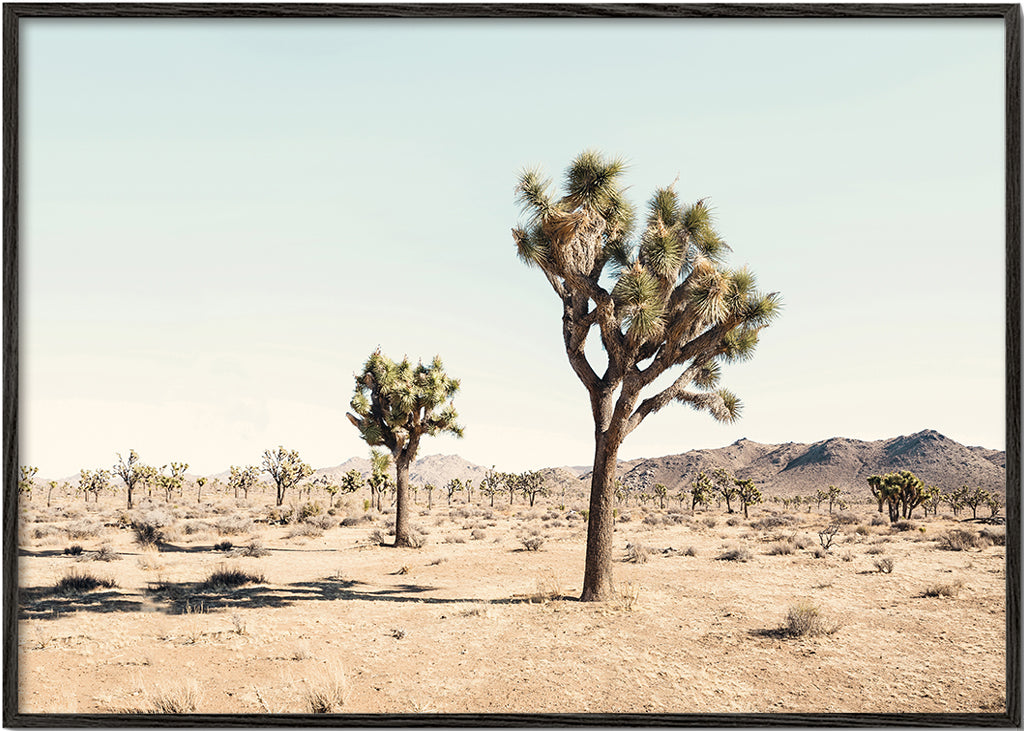 Landskapskonst med Joshua tree