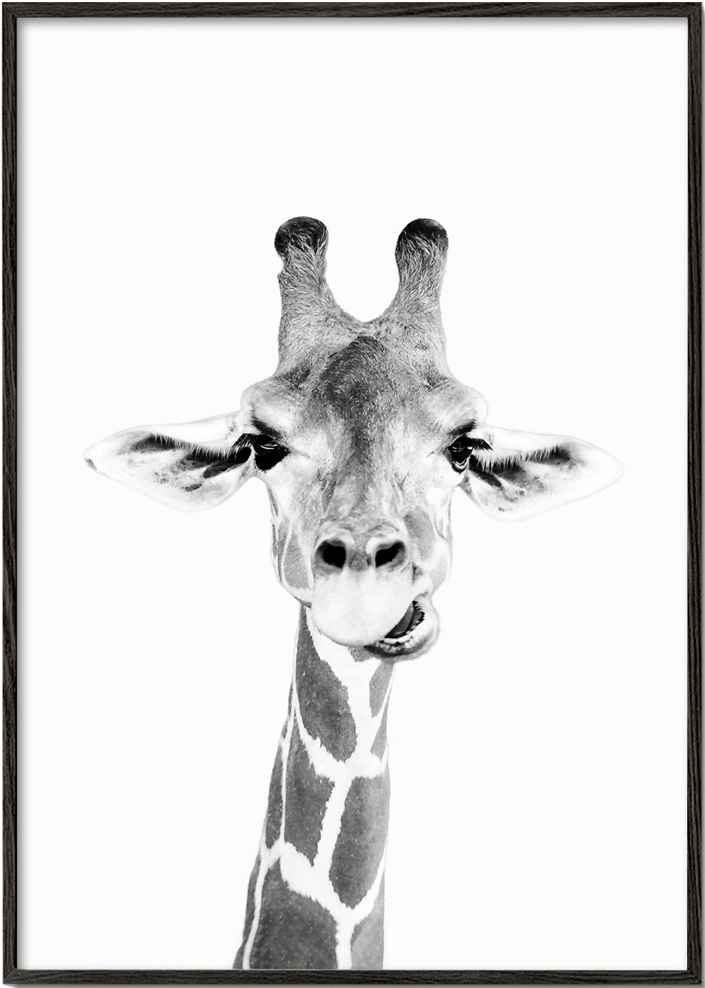 Giraff svartvit poster