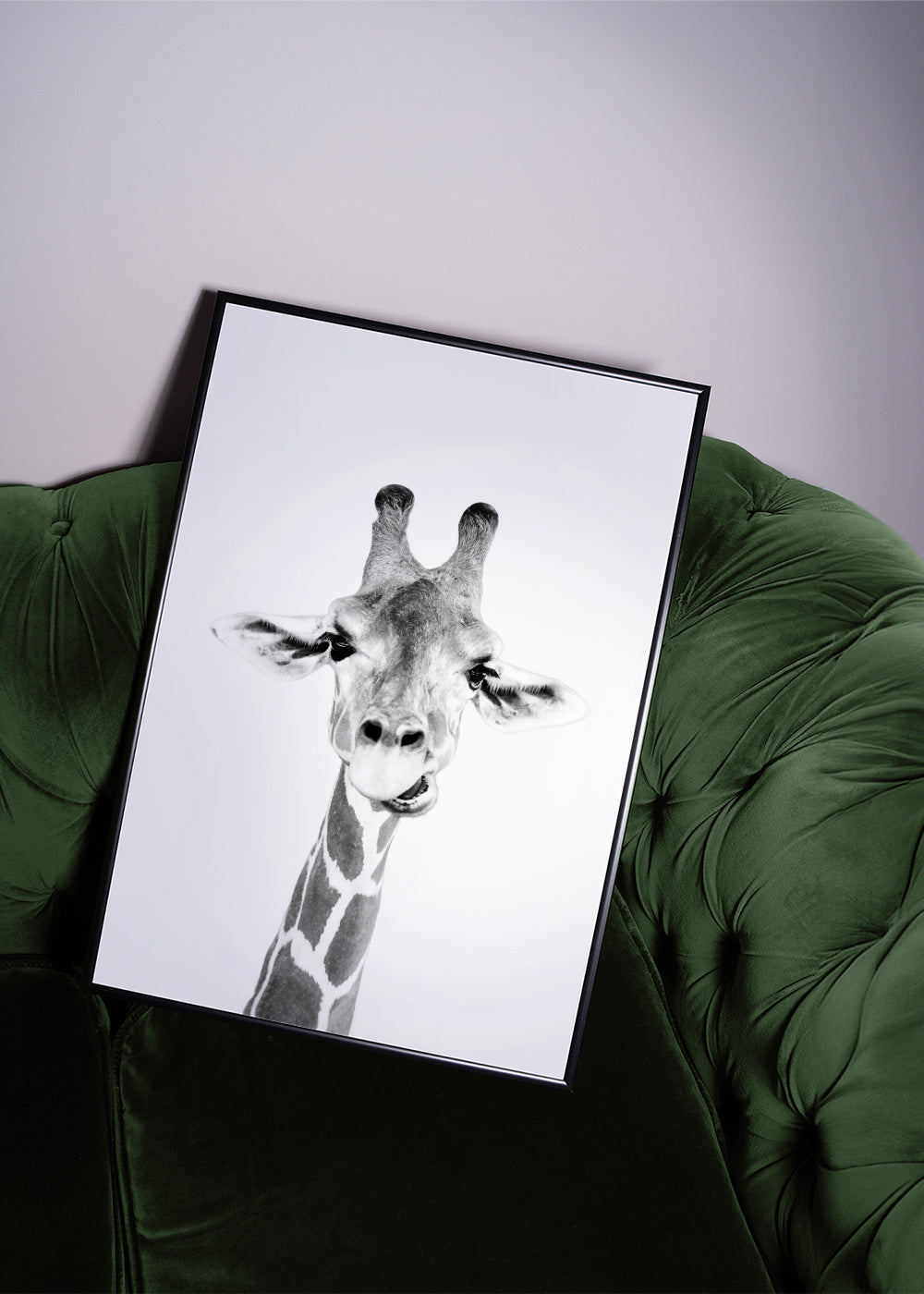 Baby giraffe - Framed poster in an interior