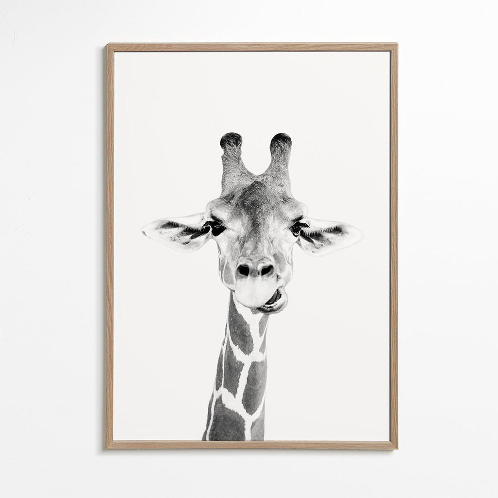 Giraff svartvit poster