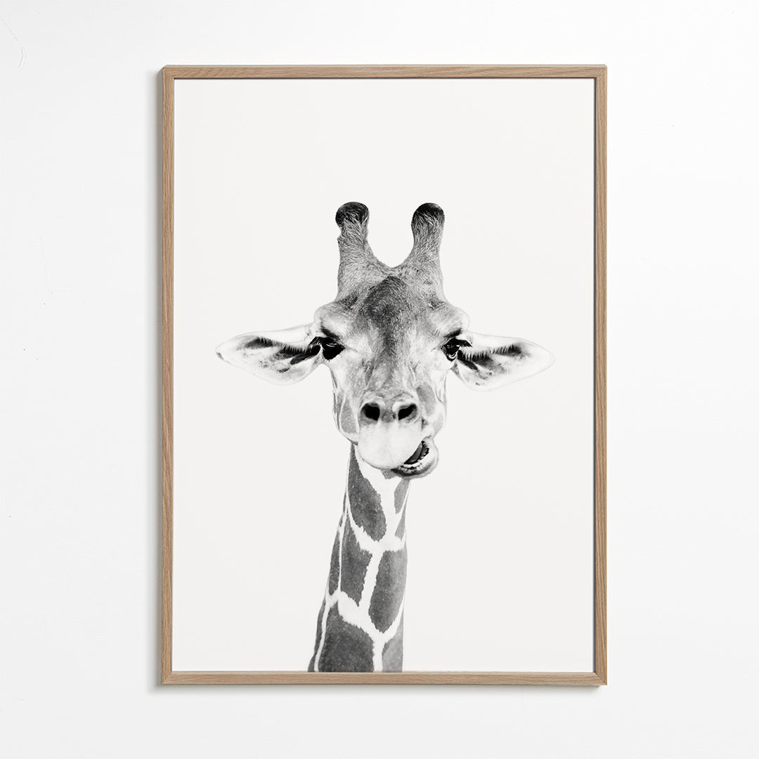 Giraff svartvit poster