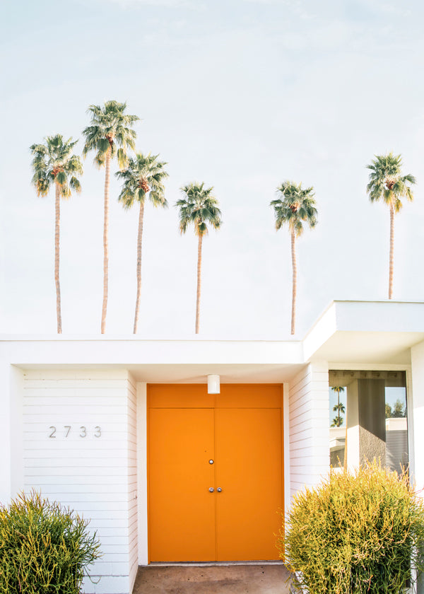 Minimalfotografi: orange dörr med palmer