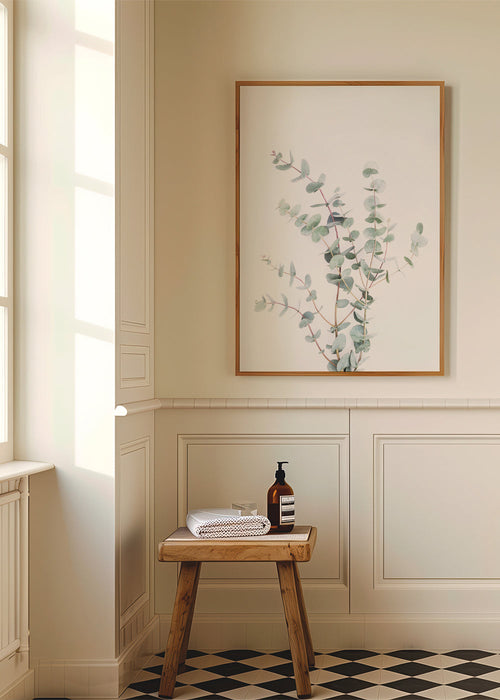 Botanisk poster: eukalyptusgren mot vit bakgrund