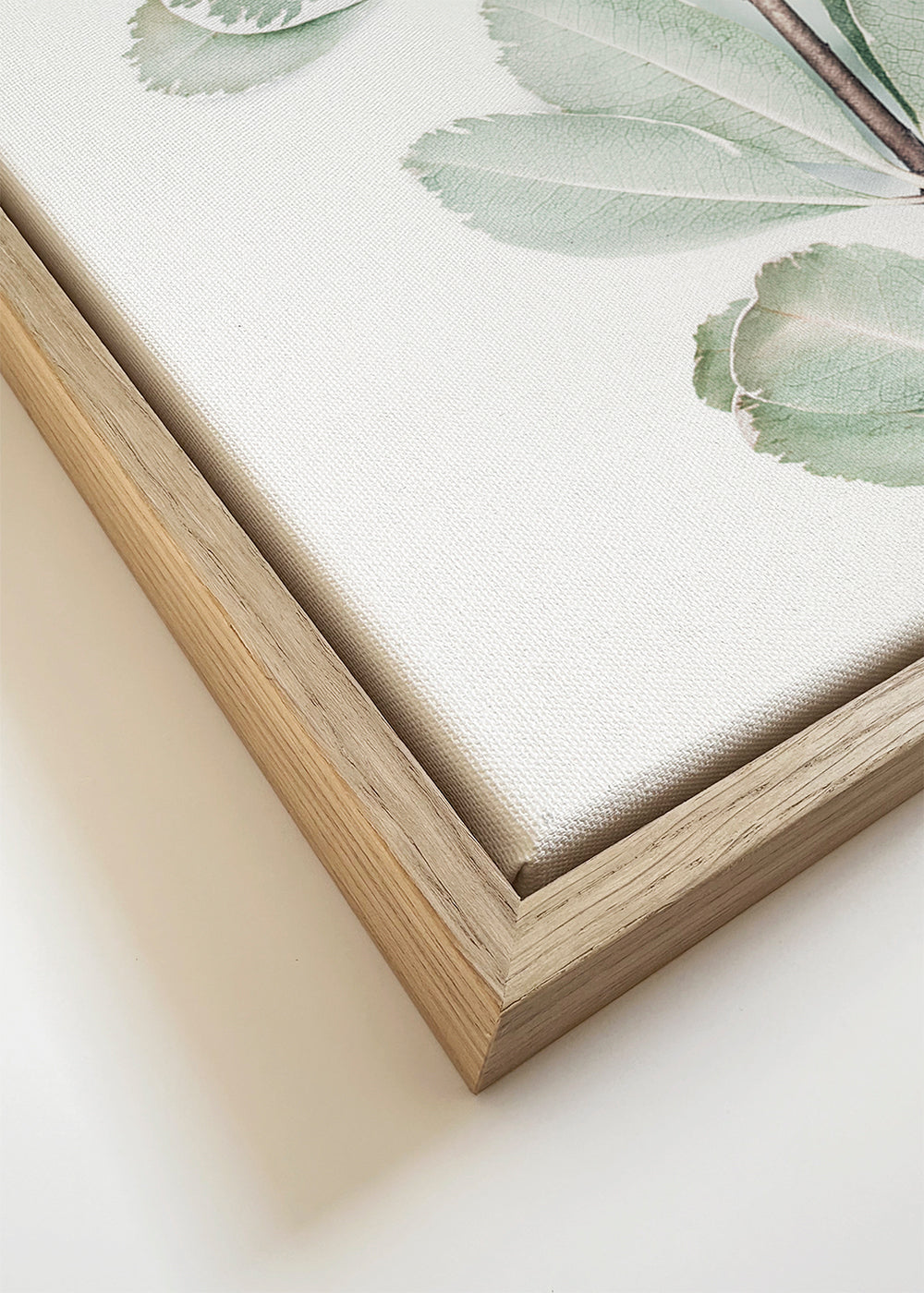 Botanisk poster med isolerad kvist