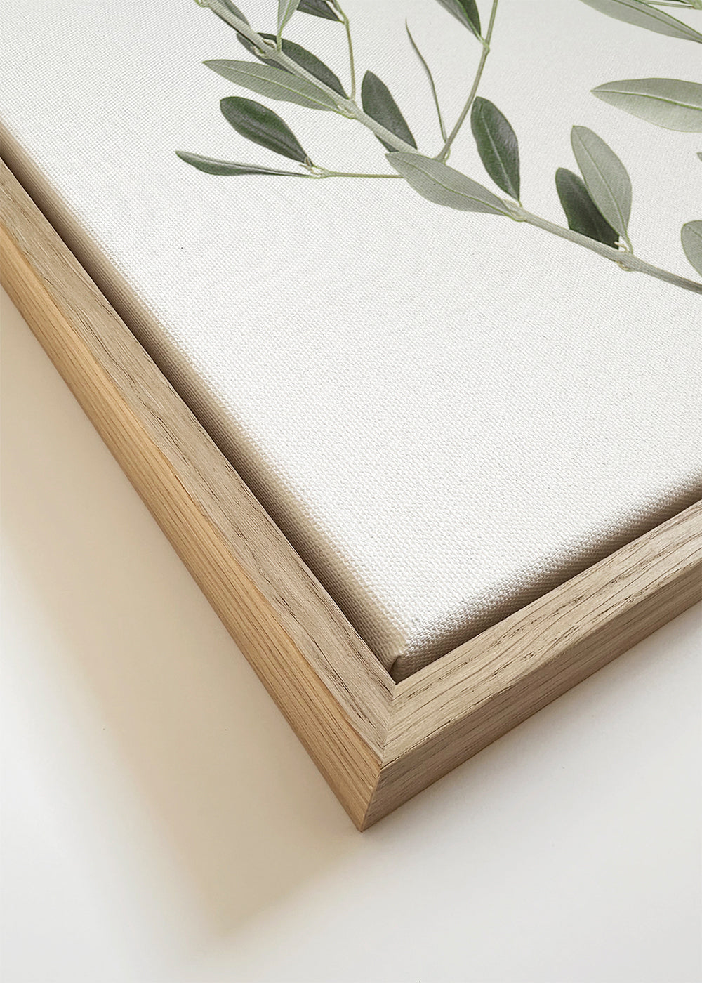 Botanisk poster olivkvist minimal