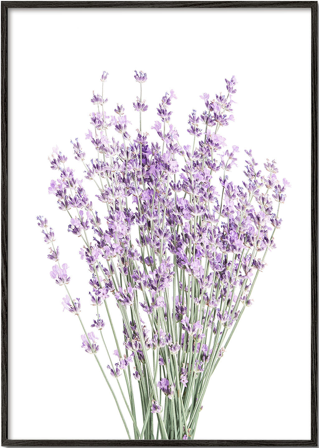 Botanisk print: lavendelbukett