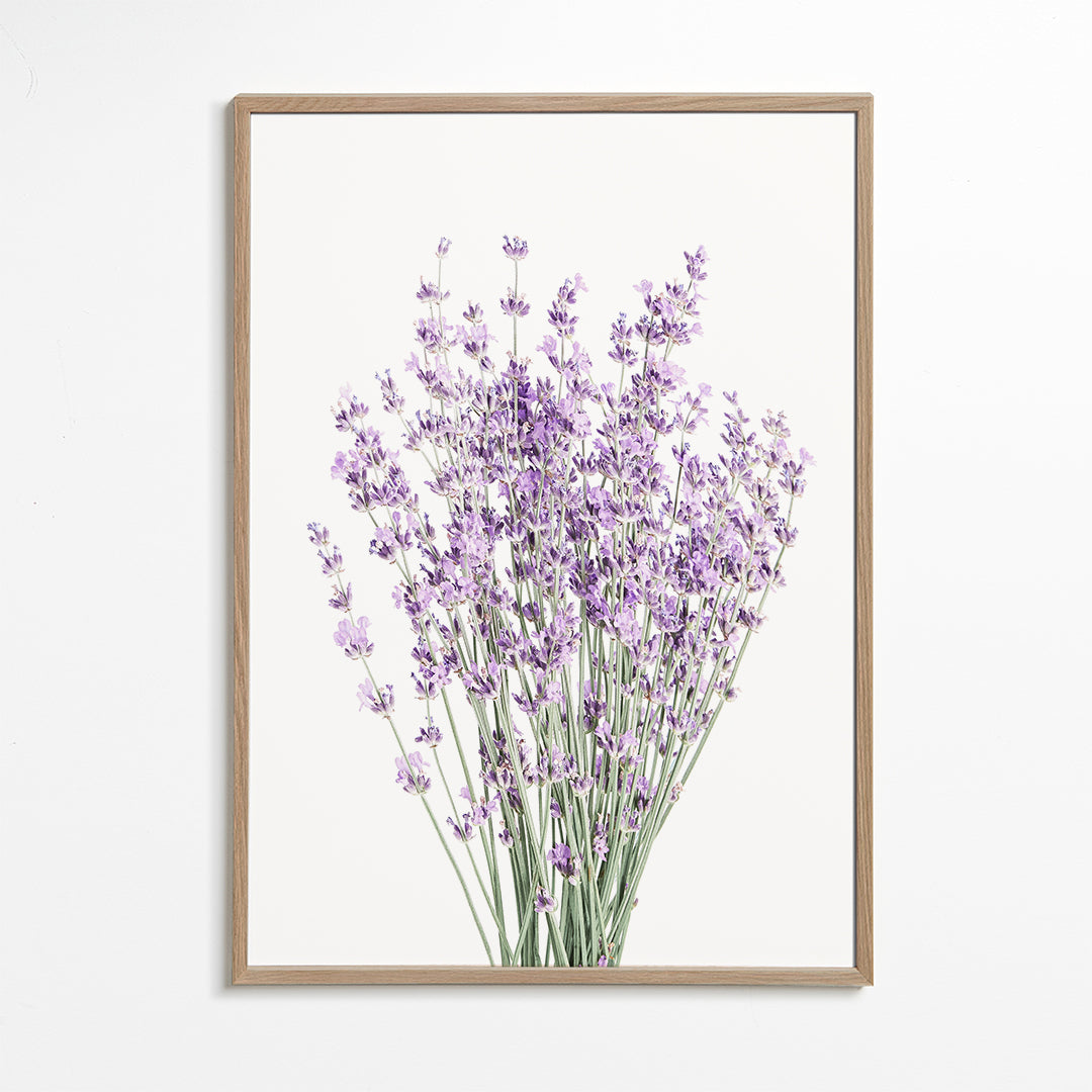 Botanisk print: lavendelbukett