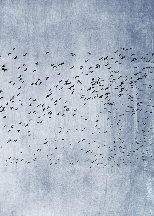 Abstrakt verk: flock av fåglar på blå textur