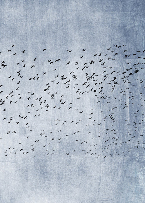 Abstrakt verk: flock av fåglar på blå textur