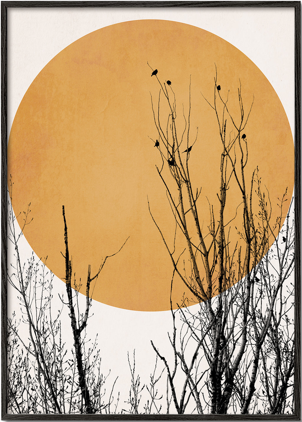 Botanisk poster ocker sol