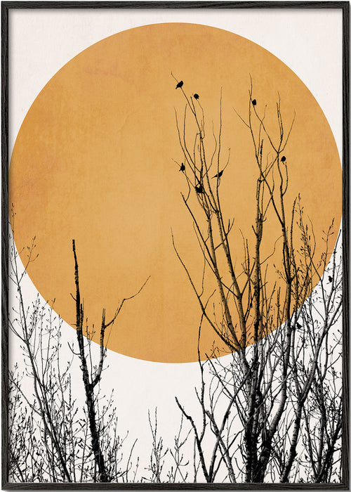 Botanisk poster ocker sol
