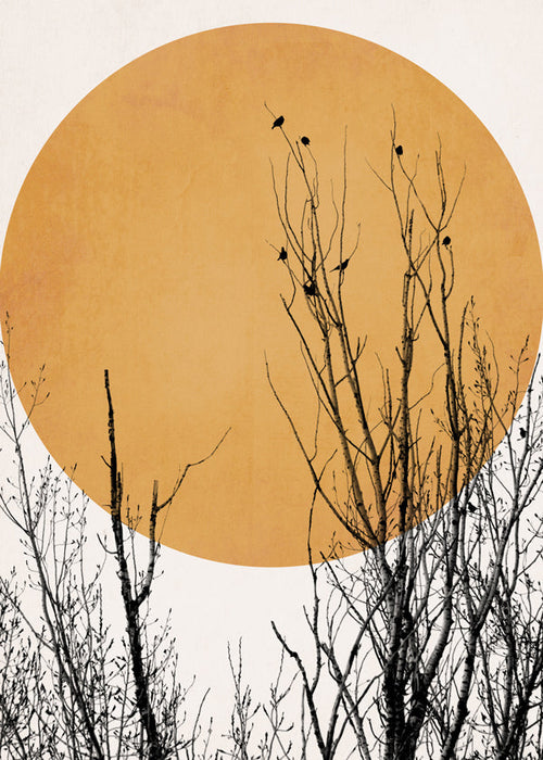 Botanisk poster ocker sol
