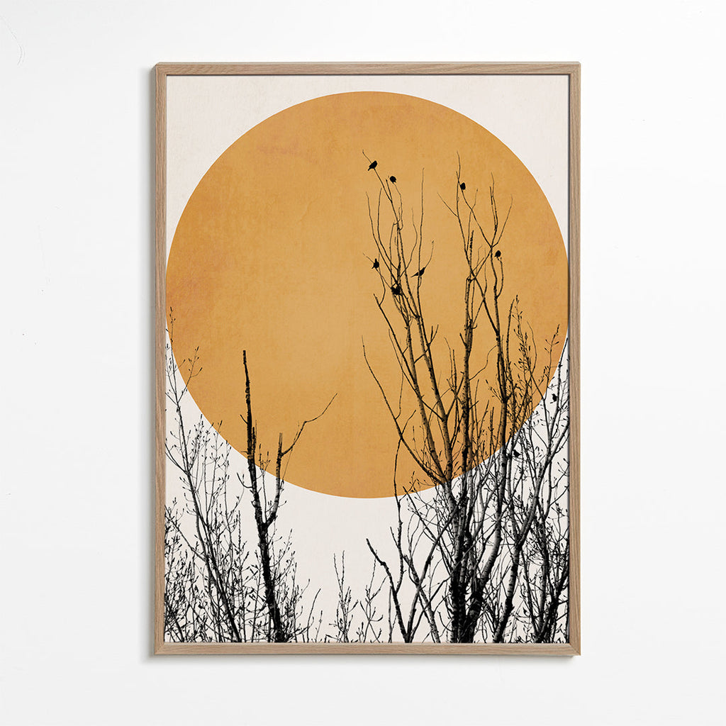 Botanisk poster ocker sol