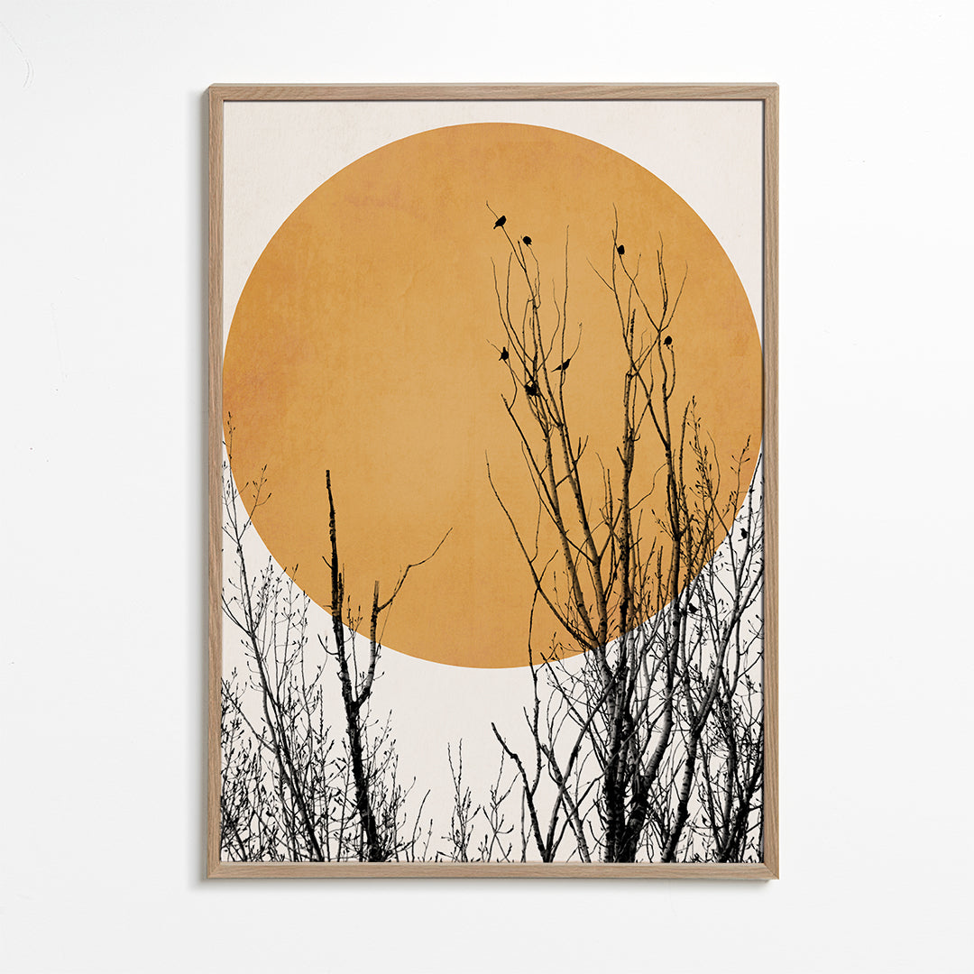 Botanisk poster ocker sol