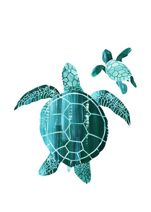 Sköldpaddsillustration