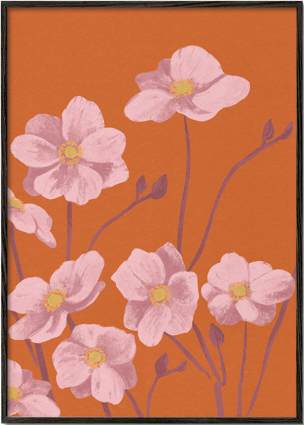 Botanisk poster Rosa anemon