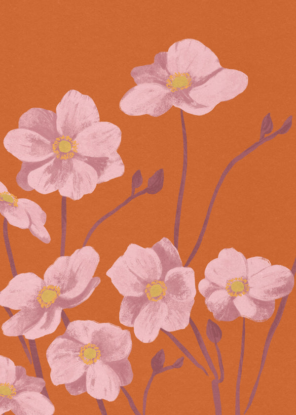 Botanisk poster Rosa anemon