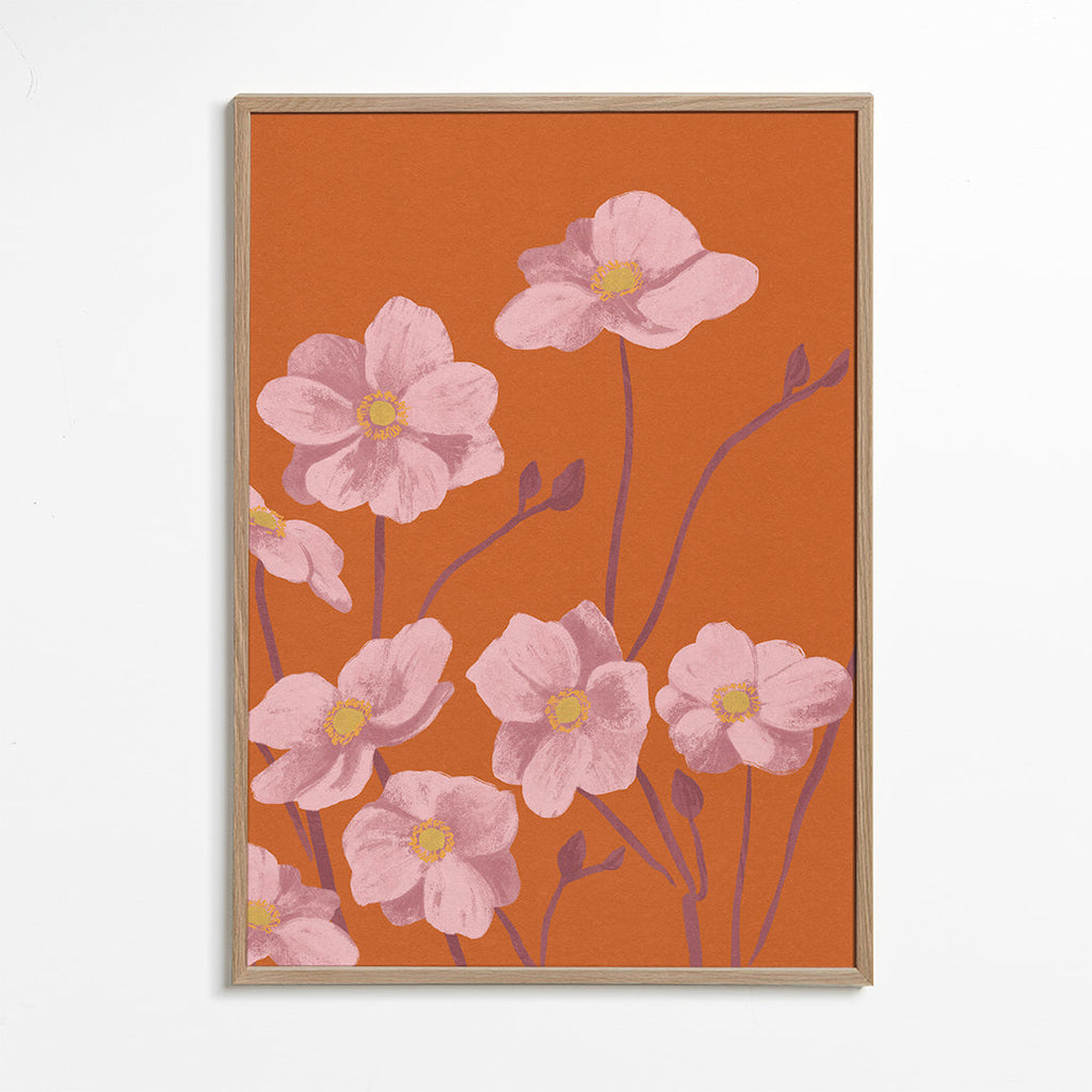 Botanisk poster Rosa anemon