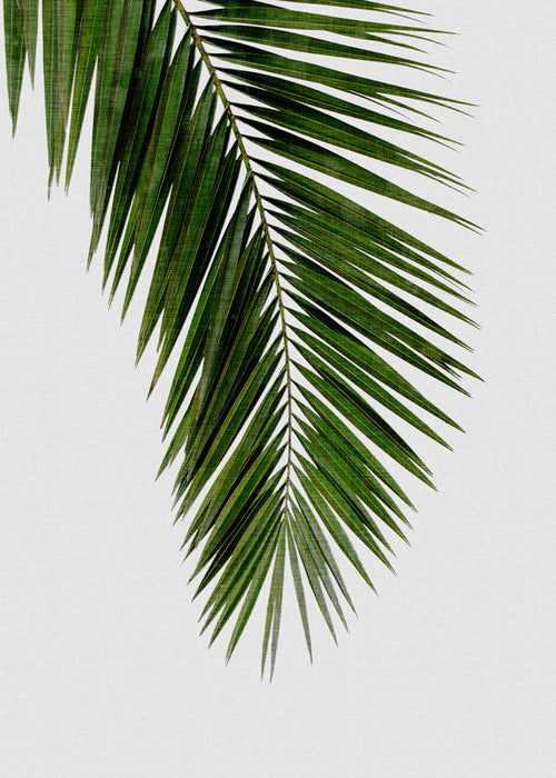 Botanisk print: vertikalt palmblad